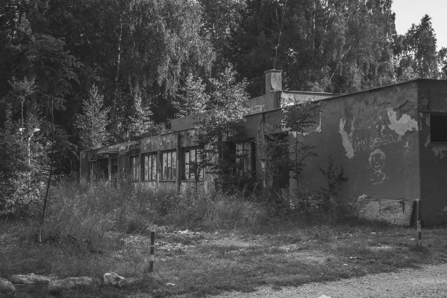Zielone Świątki w Sławkowie: Tradycja, natura i miejskie świętowanie